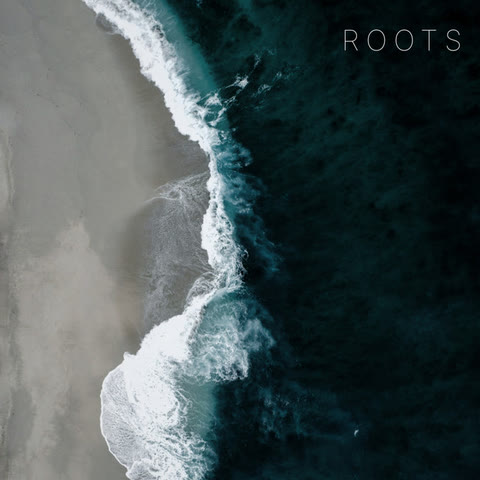 Roots album cover: a wave breaking on grey sand, seen from above.